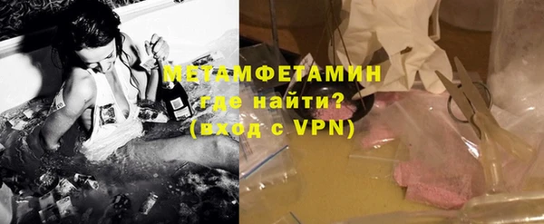 гидра Ельня