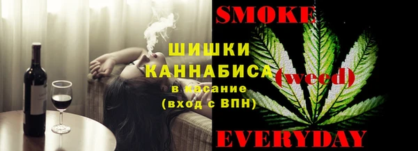 гидра Ельня