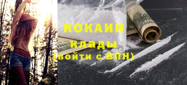 гидра Ельня