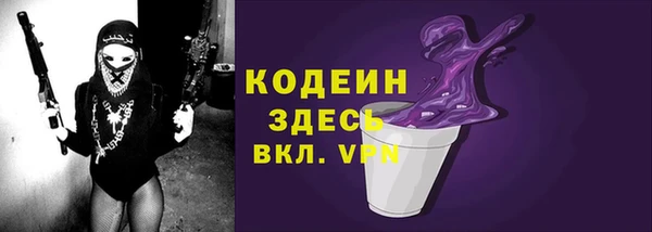 гидра Ельня