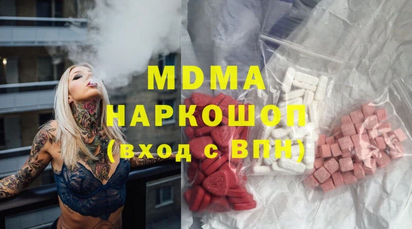 гидра Ельня