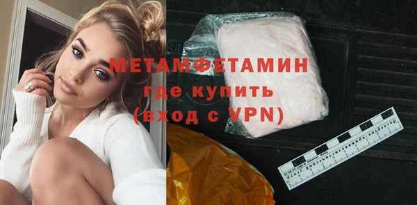 гидра Ельня