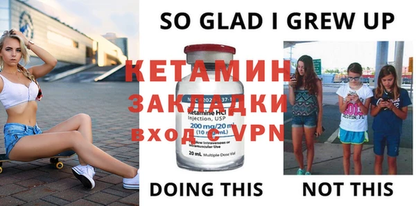 гидра Ельня