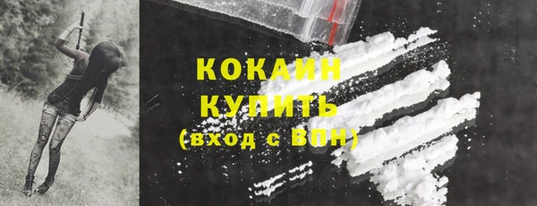 прущие крисы Елабуга