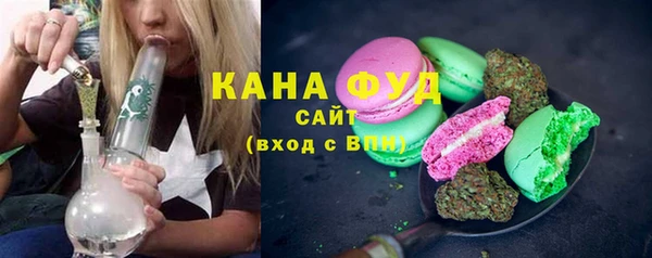 гидра Ельня